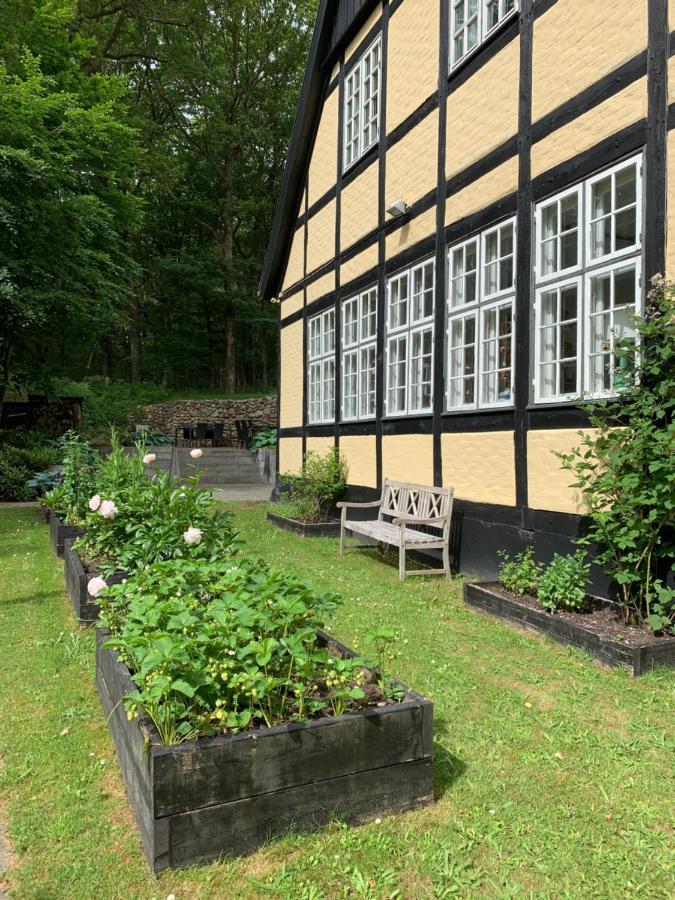 Hotel Egeskoven Viborg Kültér fotó